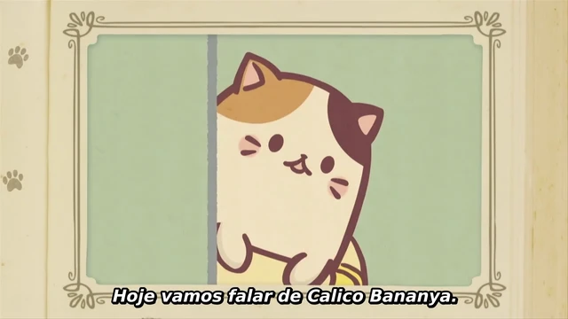 Episódio 11