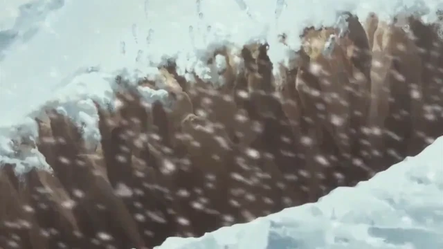 Episódio 51