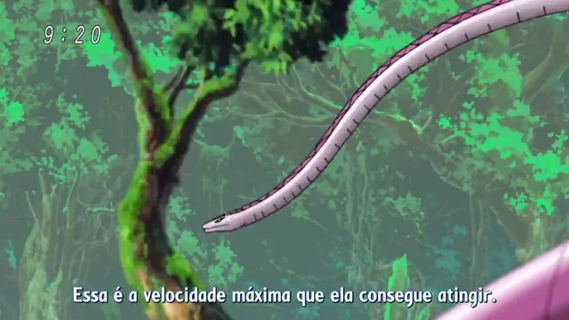 Episódio 75
