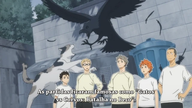 Episódio 08