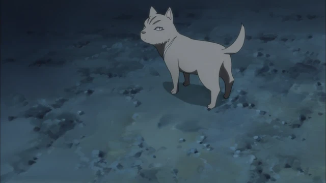 Episódio 09