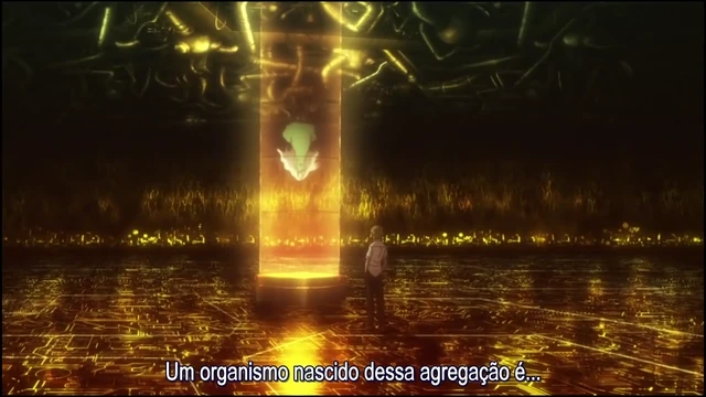 Episódio 24