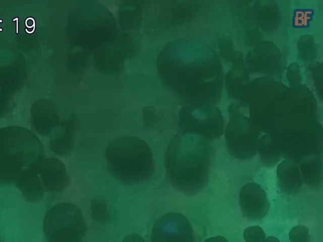 Episódio 10