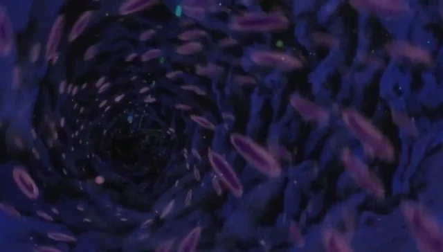 Episódio 03
