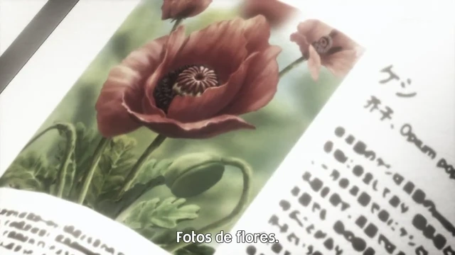 Episódio 11