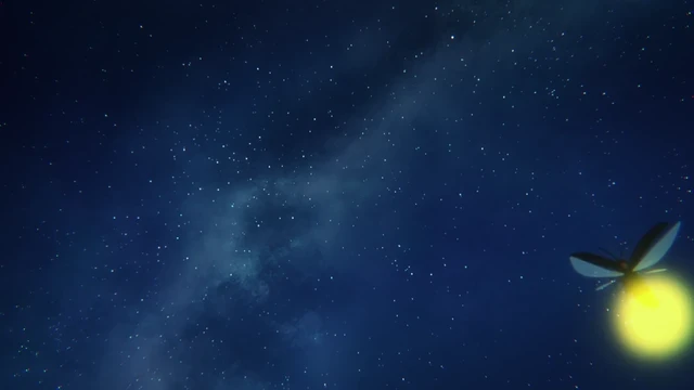 Episódio 11