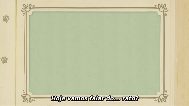 Episódio 12
