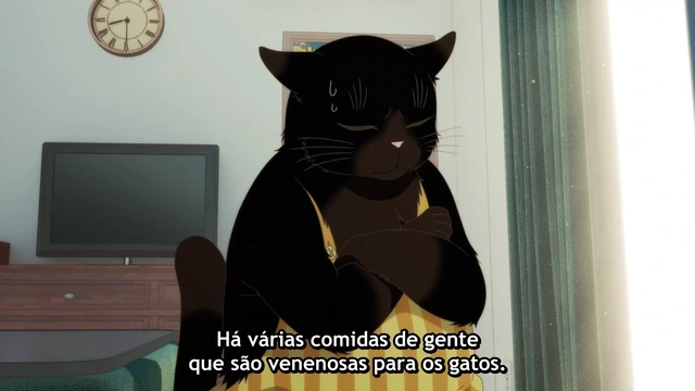 Episódio 11