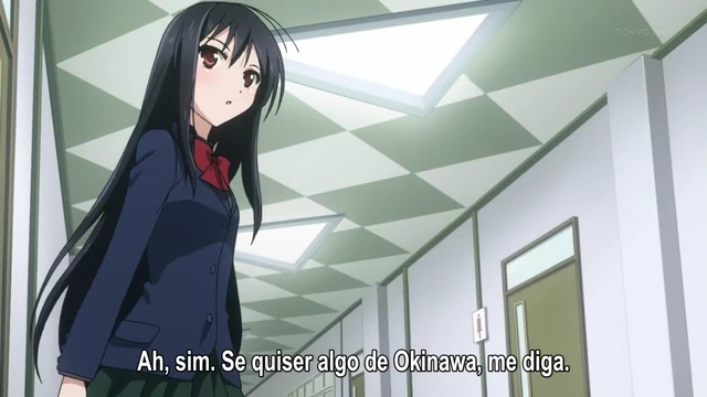 Episódio 13