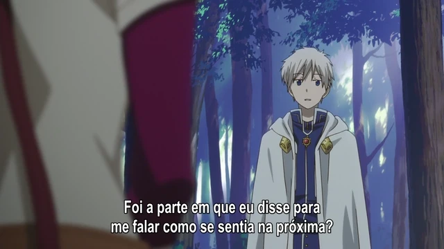Episódio 11