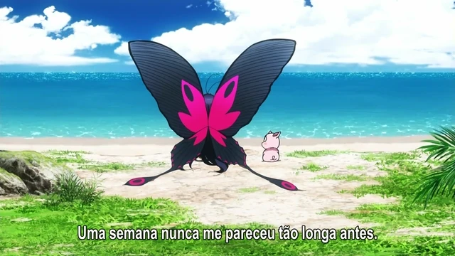 Episódio 20
