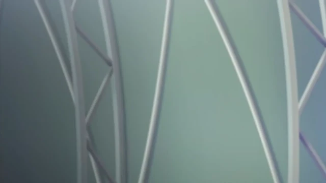 Episódio 11