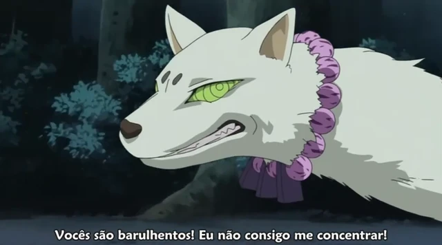 Episódio 05