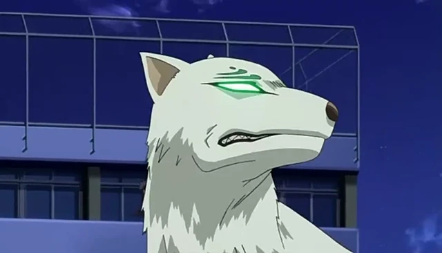 Episódio 12