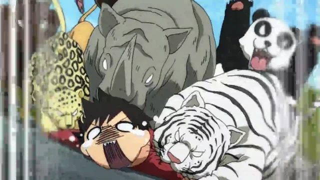 Episódio 12