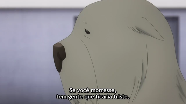 Episódio 12