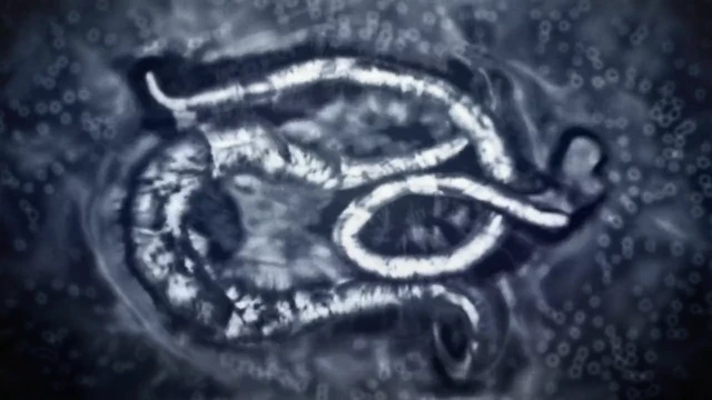 Episódio 01