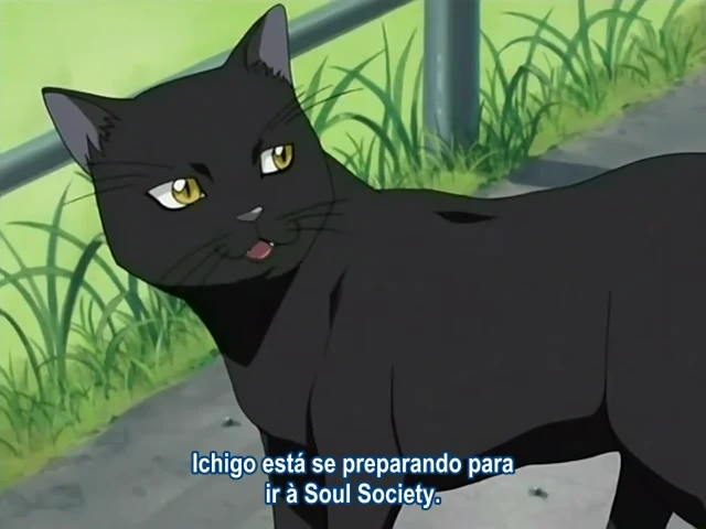 Episódio 18