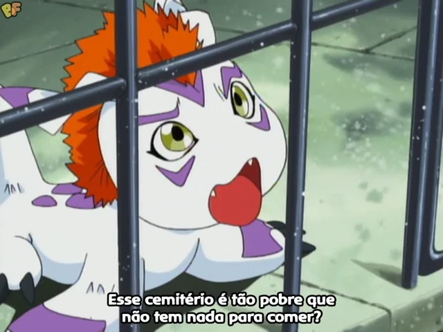 Episódio 11