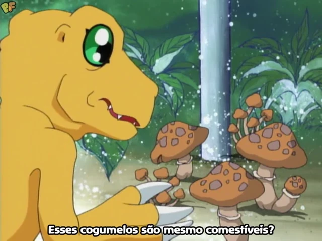 Episódio 22