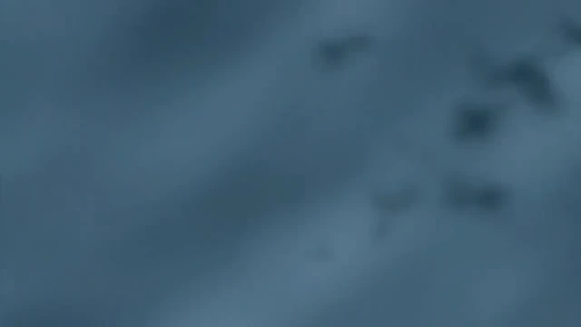 Episódio 176