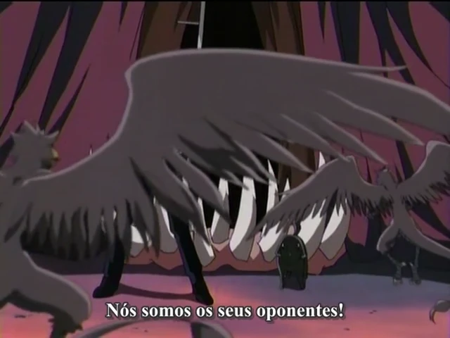 Episódio 15