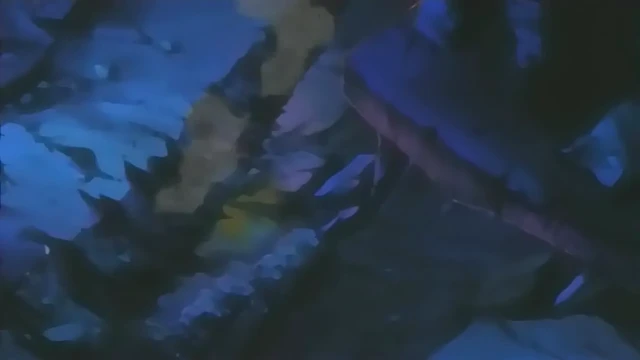 Episódio 24