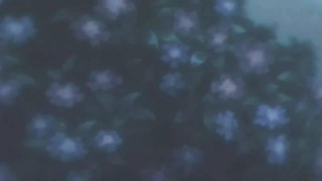 Episódio 04