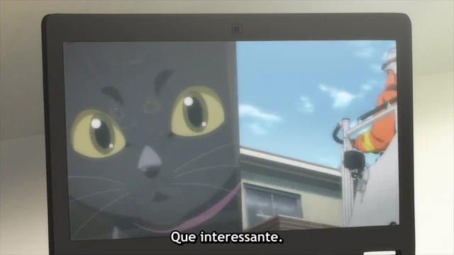 Episódio 21