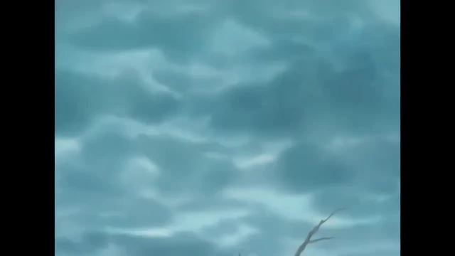Episódio 32