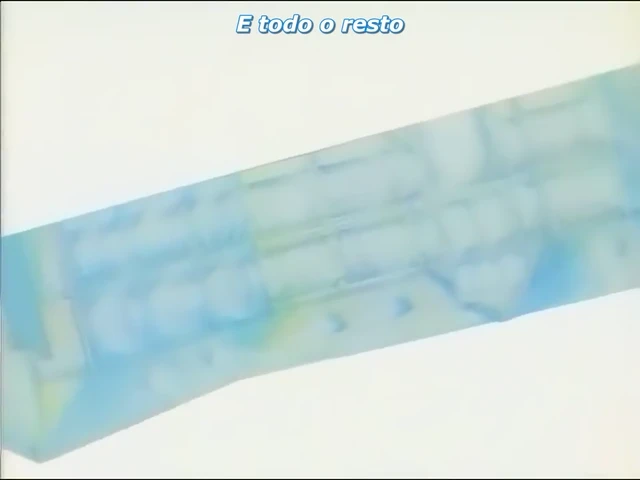 Episódio 38