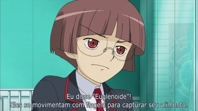 Episódio 13