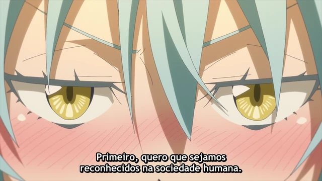 Episódio 11