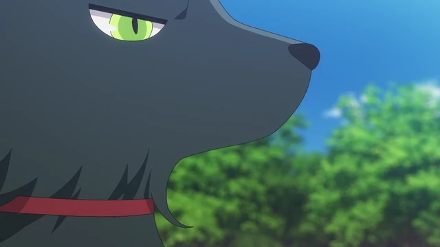 Episódio 10
