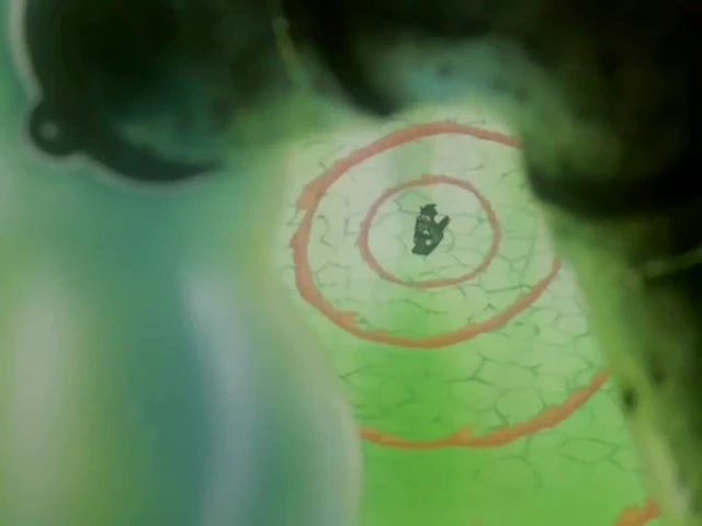 Episódio 13