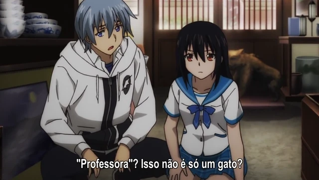 Episódio 20
