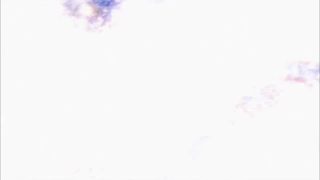 Episódio 08