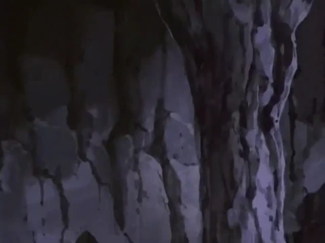 Episódio 146