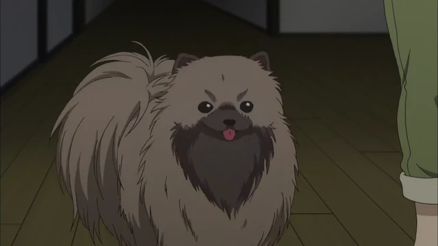 Episódio 01