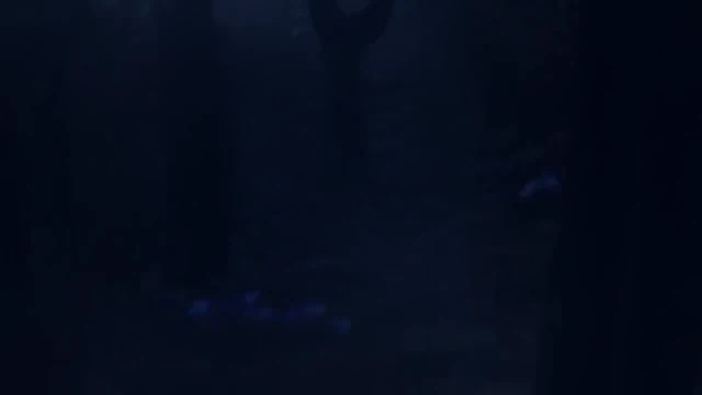Episódio 03