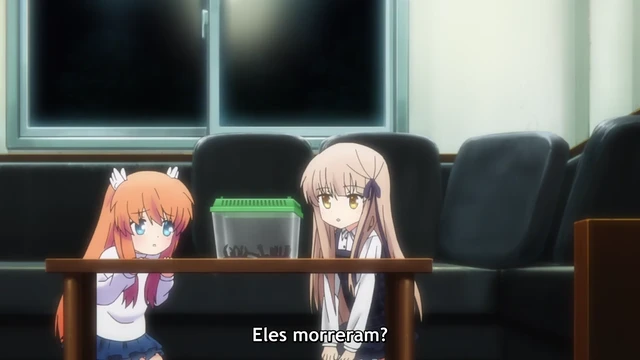 Episódio 09