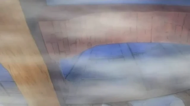 Episódio 221