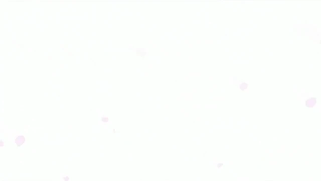 Episódio 12