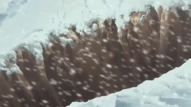 Episódio 542