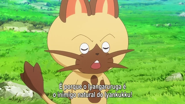 Episódio 33