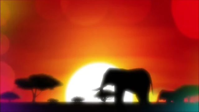 Episódio 12