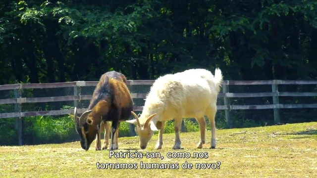 Episódio 06