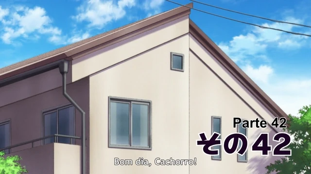 Episódio 11