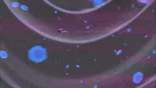 Episódio 28