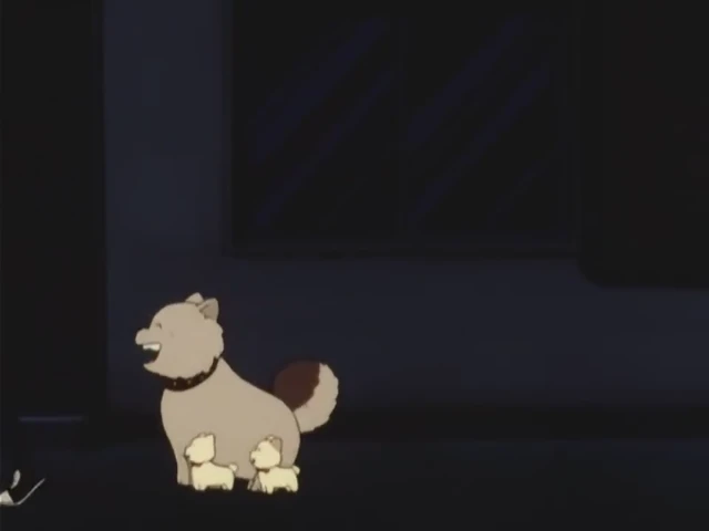 Episódio 62